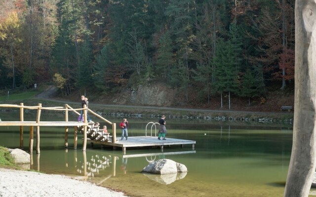Cozy Holiday Home in Saldenburg near Forest