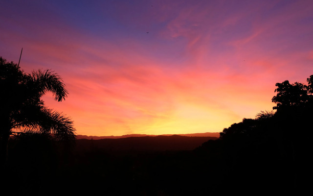 Daintree Manor Bed & Breakfast