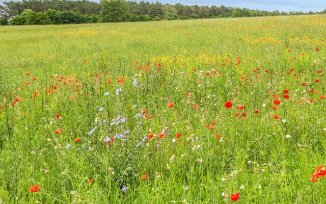 Awesome Apartment in Rechlin With 2 Bedrooms and Wifi