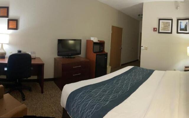 Comfort Inn Downtown - University Area