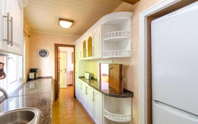 Club Villamar - Delfin