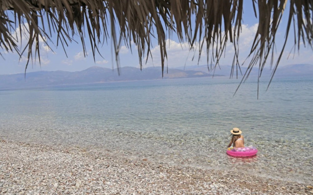 "exotic Studio at Oliva Holiday Homes"