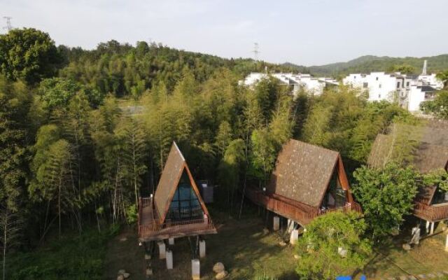 Tree Frog Resort Hotel