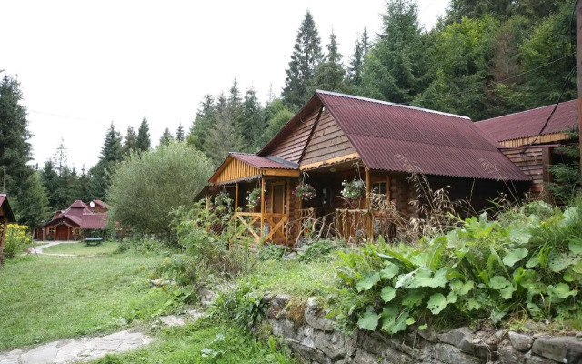 Zarinok