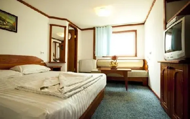 Hotel Plutitor GGGociman