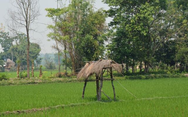 Barauli Community Homestay