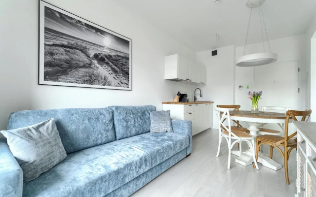 Shellter City Apartments