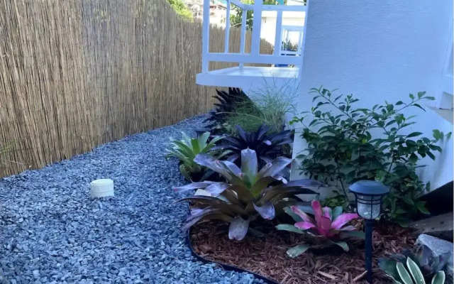 Apartamentos en VIQUES Puerto Rico