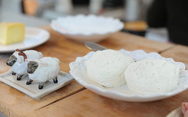 Vumba - The Gorongosa Suite