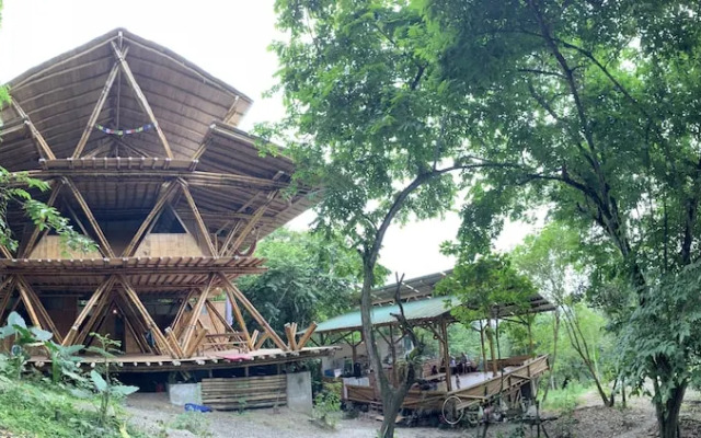 Wild Child Village