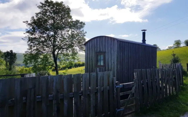 Eco Accommodation Cornflower Holiday