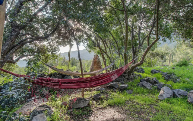 Getaway Among The Trees