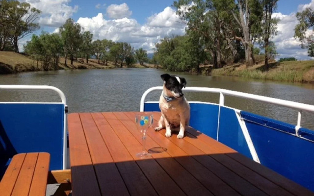 Riverside Farm Retreat BnB