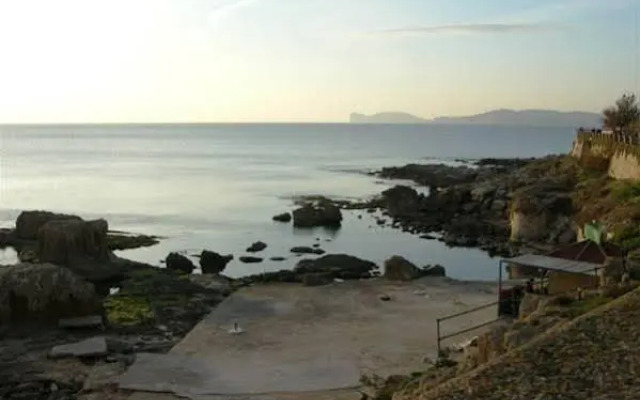 Catalan BB
