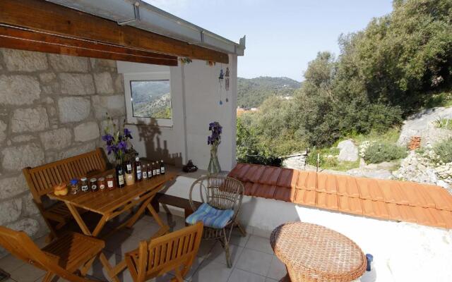 Apartment Cacini Dvori