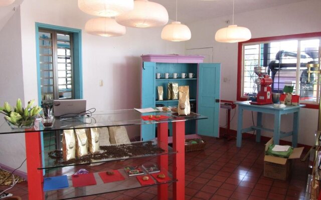 Casa del Café Oro de Los Tuxtlas