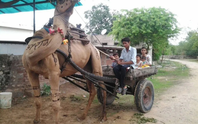 Swapanlok Farms And Resorts