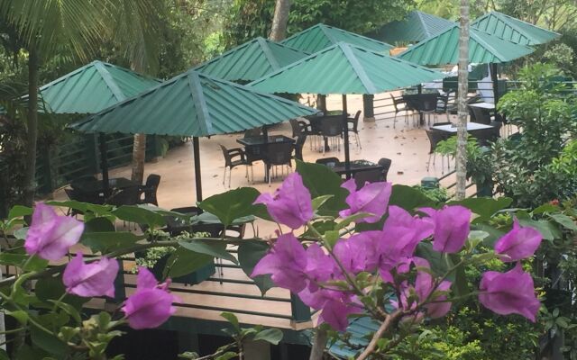 Rainforest Lodge