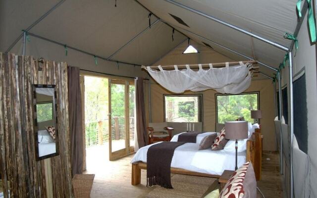 Miombo Safari Camp