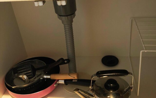 Daily Apartment House Nishijin Ivy