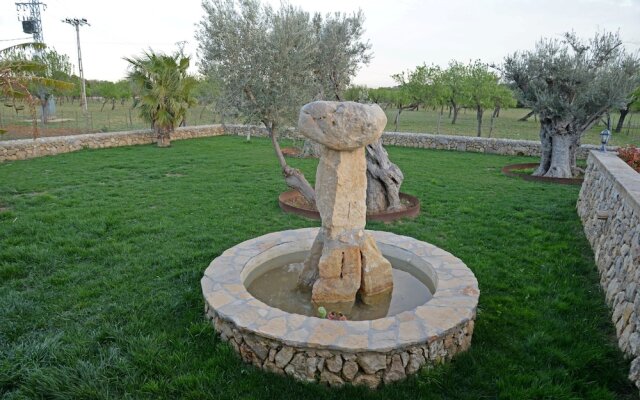 SA Parellada - Premium