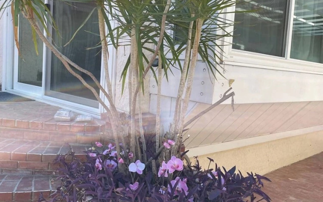 Paradise Vacation Estate Near Universal Studios