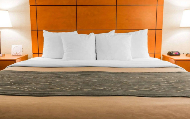 Comfort Inn Metro Airport