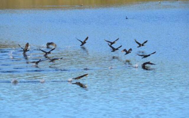 Casa Rural la Cañada