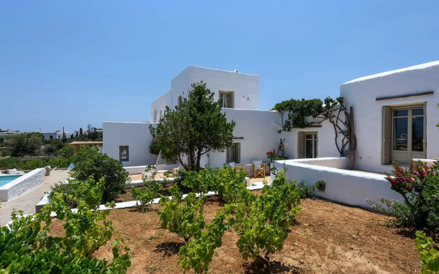 Villa Vinea Paros