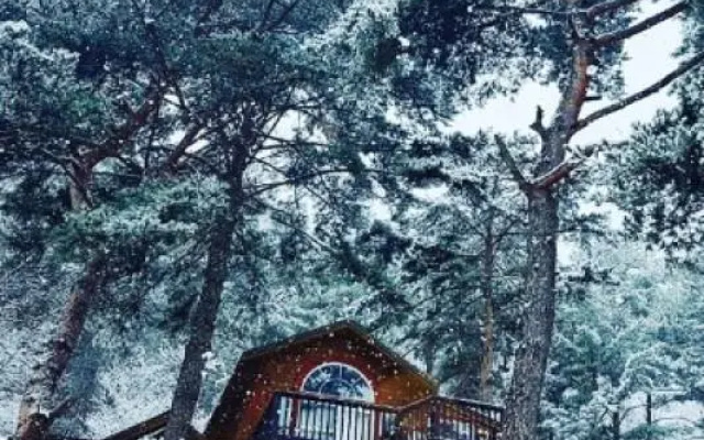 Pyeongchang Pine Forest Pension (Individual BBQ)