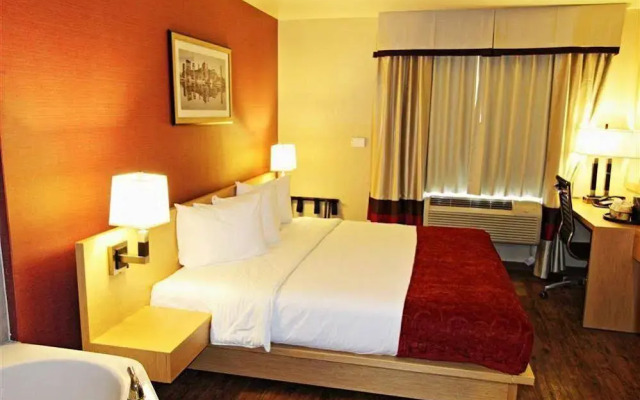 Hotel Lynx