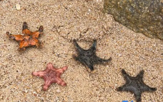 Mei Zhou Dao mu Yu min su – Beach – Putian