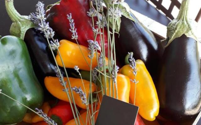 Le Mazet des chutes Gîtes