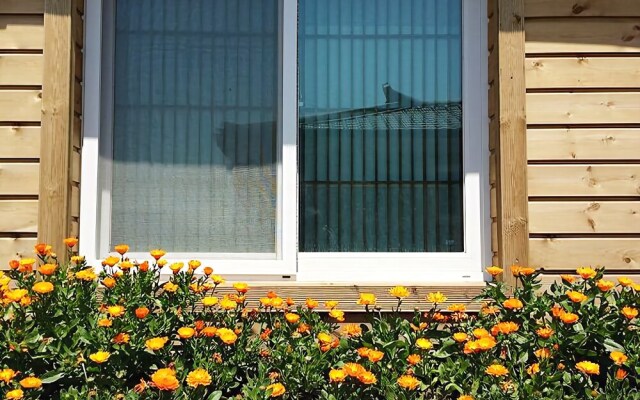 Jejuportulaca Grandiflora Pension