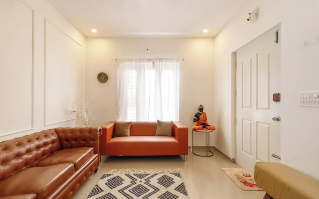 Aira Luxe by Red Olivebyg Brewskiwifi