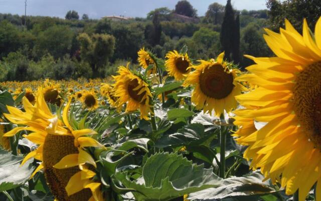 Podere La Capacciola