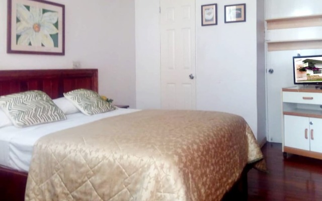 Gaudys Backpackers - Hostel