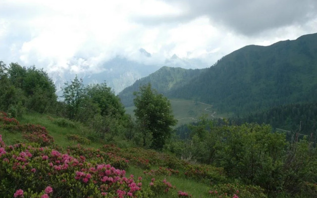 Hotel Pradibosco Agrituristico