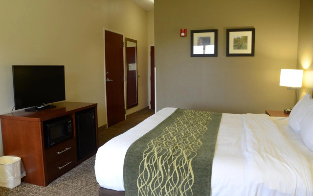 Comfort Inn & Suites Cave City