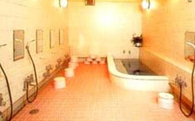 Ryokan Nihonkan Hotel