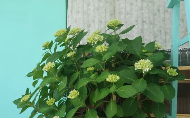 Qingwu Fisherman's Hostel