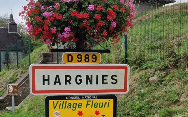 La chouette au bouleau