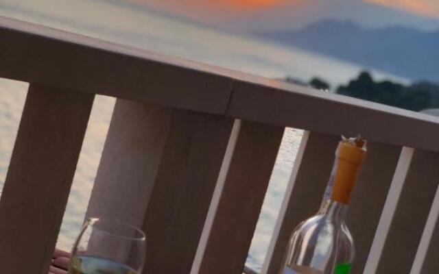 Apartments Villa Ursic