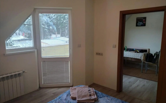 BOROVETS Royal Plaza - A405