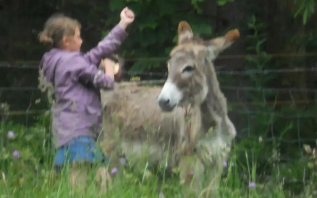 Auberge du Saut des Cuves