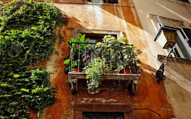 Town House - Treasurerome Collection