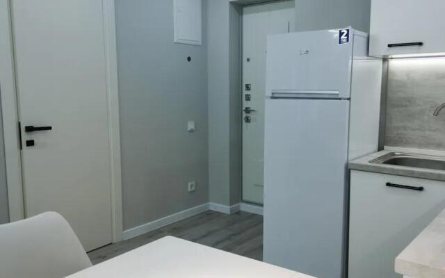 Апартаменты на проспекте Курортный 94/60