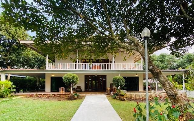 Jardin de Mangue Pakchong