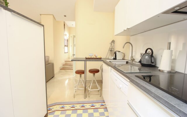 Deluxe apartment plaza de la encarnacion