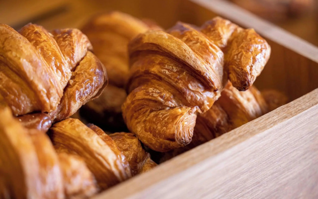 Hotel Diana Dauphine